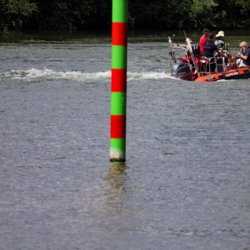 Beluga yang terdampar di sungai Seine Prancis menolak makan