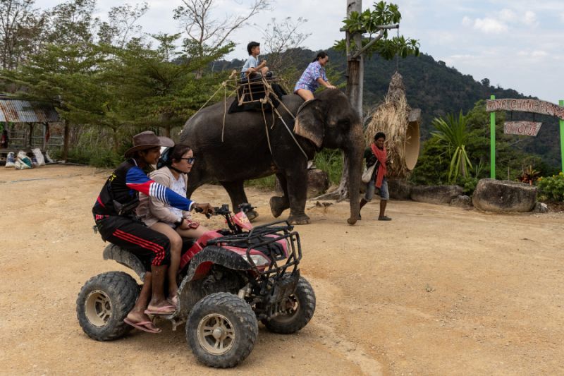 Kamp gajah Thailand tambah koleksi sambut wisatawan asing