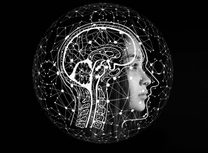 Sel otak manusia digunakan jadi "AI hidup" pecahkan rumus matematika