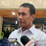 Mentan Amran pastikan harga ayam dan telur di peternak mulai pulih