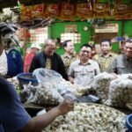 Bapanas gandeng distributor jaga harga bawang putih tetap terkendali