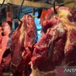 Bapanas perkuat stabilisasi harga daging sapi bersama BUMN dan BUMD