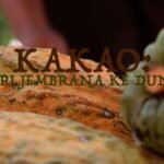 Kakao: dari Jembrana ke dunia (bagian 3)