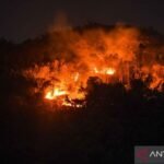 Kebakaran hutan di Gunung Jati