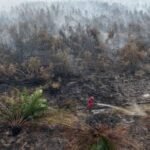 15 hari Manggala Agni berjibaku padamkan karhutla OKI
