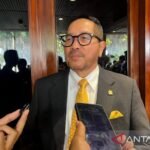 Anggota DPR dorong singkong pengganti gandum demi perkuat swasembada