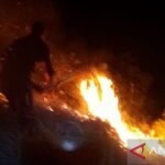 BPBD: Hujan di Kulawi dan Pipikoro tekan potensi karhutla di Sigi