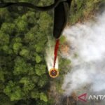 Hutan terbakar, biodiversitas dan DNA Sustainability ikut terancam