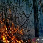 BMKG deteksi 473 titik panas di Kalimantan Selatan