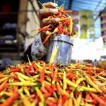 PIHPS catat harga cabai rawit Rp87.250/kg, telur ayam Rp31.450/kg