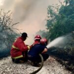 BNPB minta negara-negara tidak saling menyalahkan soal asap karhutla