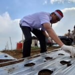 Dispertan Garut kembangkan potensi komoditas stroberi dan bawang putih