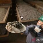 Kemerdekaan ekonomi melalui hilirisasi mineral