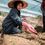 Beanstalk AgTech Umumkan Peluncuran Monsoon Ventures untuk Mempercepat Komersialisasi Teknologi Pertanian di Asia Tenggara