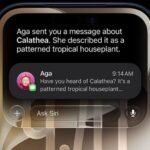 iOS 27 kapan rilis? Ini daftar iPhone yang kebagian dan fitur barunya