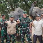 Pangdam: Pendekatan lingkungan diterapkan cegah konflik manusia-gajah