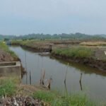 3.220 meter saluran tambak terdampak bencana Lhokseumawe pulih