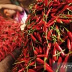 PIHPS catat harga cabai rawit Rp113.750/kg, telur ayam Rp29.400/kg