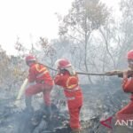 Komnas perempuan minta pemerintah beri peran perempuan penjaga hutan