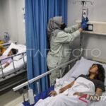 Waspadai gejala awal demam berdarah dengue