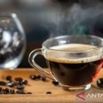 Rekomendasi 10 minuman pengganti kopi untuk mengurangi rasa kantuk