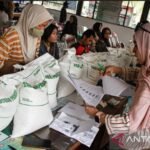 NEXT: Pemerintah perlu pastikan sebaran pasokan beras sesuai kebutuhan