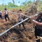 BNPB: 43 ribu personel gabungan padamkan karhutla di enam provinsi