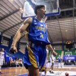 Pandu Wiguna ingin bawa gelar kedua IBL untuk Dewa United