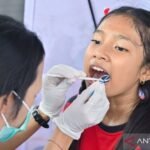 Perluasan akses telemedisin bantu efisiensi layanan kesehatan