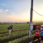 PLN Sulselrabar komitmen melanjutkan pengembangan program EA