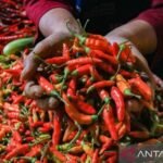 PIHPS catat harga cabai rawit Rp111.600/kg, telur ayam Rp29.350/kg