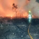 Lapak narkoba Kampung Ambon Jakbar terbakar usai dibongkar