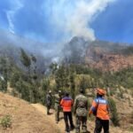 BNPB berduka cita atas gugurnya lima relawan pemadam karhutla TNBTS