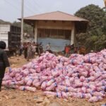 Karantina Kepri musnahkan 29 ton bawang putih rusak asal China