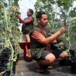 Pemuda tani dan masa depan negeri agraris