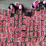 Lahan 5.000 hektare ini hasilkan ratusan ribu ton apel bernilai jutaan dolar