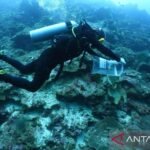 Maluku survei delapan aspek di Lucipara untuk kawasan konservasi sains