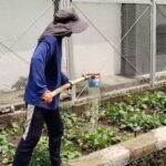 Lapas Cilegon latih warga binaan kembangkan program ketahanan pangan