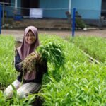 Ketika yang tumbuh bukan cuma usaha, PNM hadirkan dampak lebih luas bagi nasabah