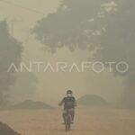 MPR: Terbukanya kerja sama negara tetangga percepat atasi karhutla